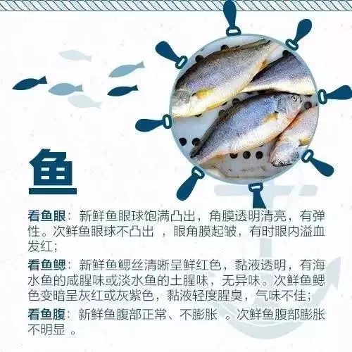 海鲜市场？怎么挑？蒸煮时间？