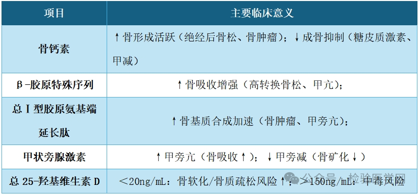 骨代谢五项检测指标含义解释